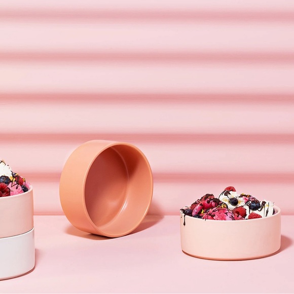 HUDSON & OAK | Blush dish set of 6 settings - Picture 2 of 5